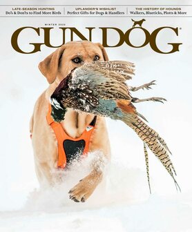 Gun Dog Magazine