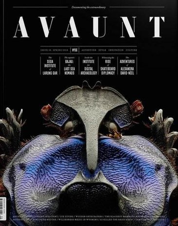Avaunt Magazine