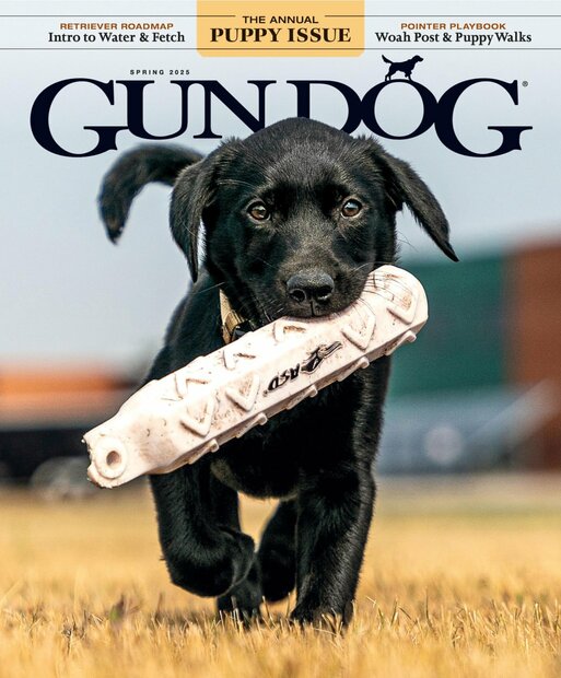 Gun Dog Magazine