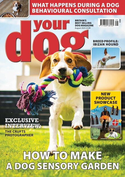 Your Dog Magazine