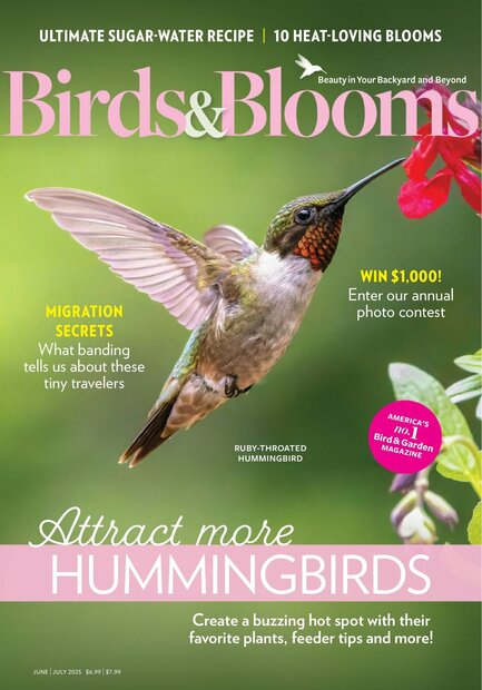 Birds &amp; Blooms Magazine