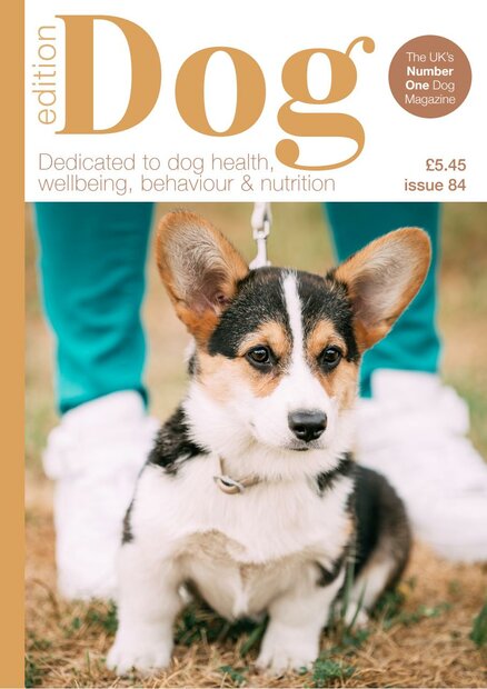 Edition Dog Magazine