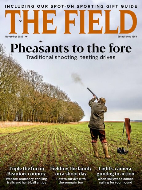 The Field Magazine