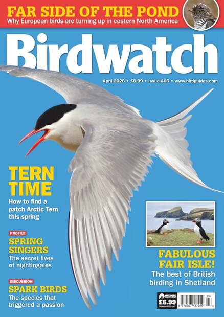 Birdwatch Magazine