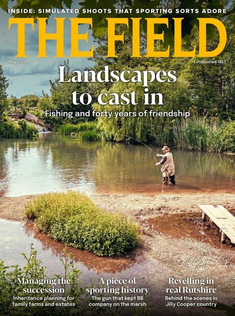 The Field Magazine