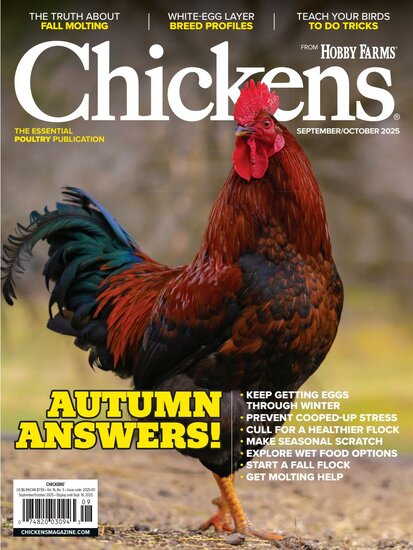 Chickens Magazine