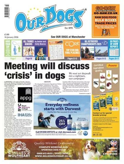 Our Dogs Magazine