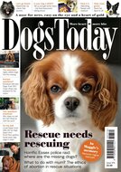 Dogs Today Magazine