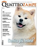 Quarter Horse Journal (Duits)