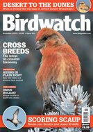 Birdwatch Magazine