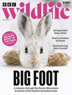 BBC Wildlife Magazine