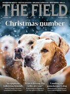 The Field Magazine