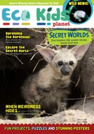 Eco Kids Planet Magazine