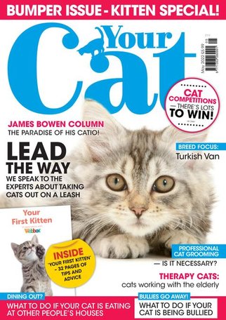Your Cat Magazine