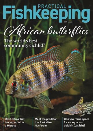 Practical Fishkeeping Magazine