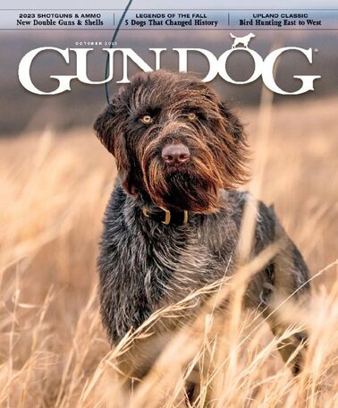 Gun Dog Magazine