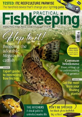 Practical Fishkeeping Magazine