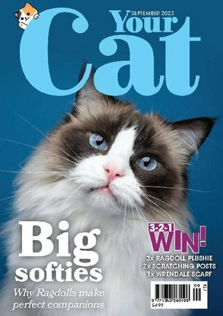 Your Cat Magazine