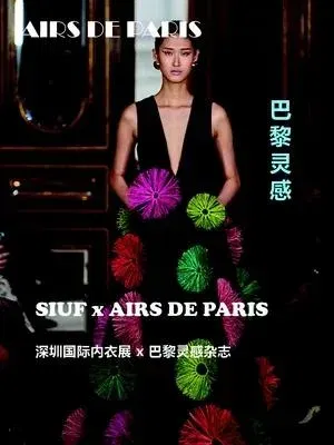 Airs de Paris (Frans)