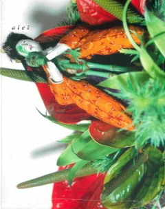 Alei Journal (Frans)