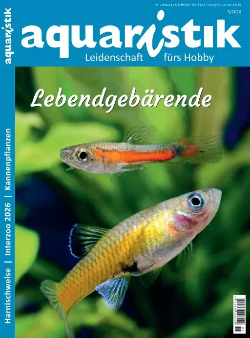 Aquaristik (Duits)