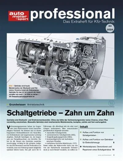 Auto Motor und Sport Professional (Duits)