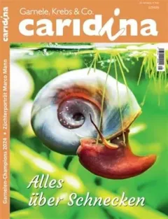 Caridina (Duits)
