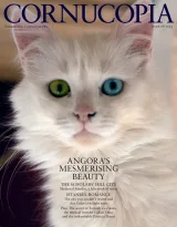 Cornucopia Magazine 1