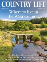 Country Life Magazine 1