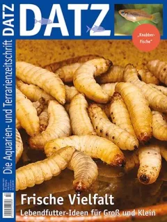 Datz (Duits)