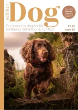 Edition Dog Magazine 1