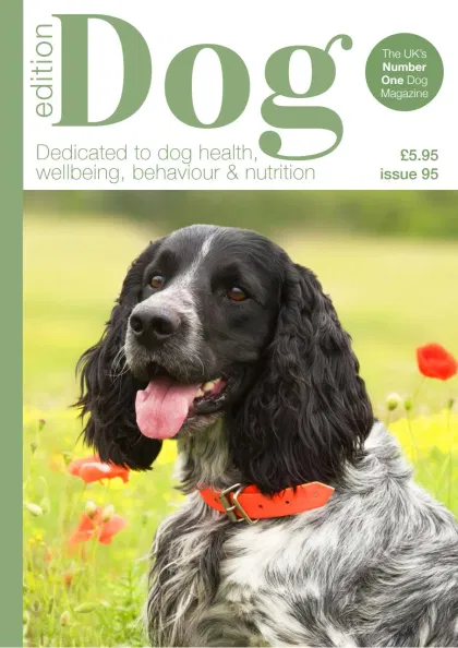 Edition Dog Magazine