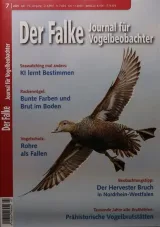 Falke (Duits) 1