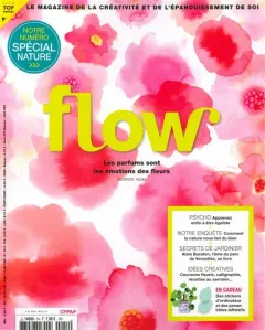 Flow (Frans)