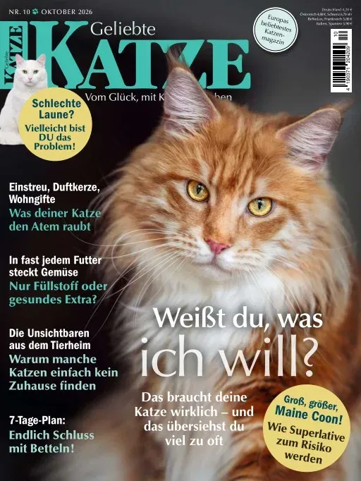 Geliebte Katze (Duits)