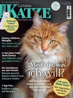 Geliebte Katze (Duits)