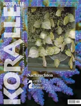 Koralle (Duits) 1