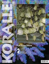 Koralle (Duits) 1