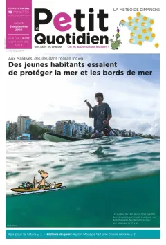 Le Petit Quotidien (Frans)