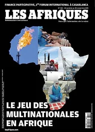 Les Afriques (Frans)