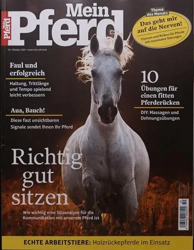 Mein Pferd (Duits)