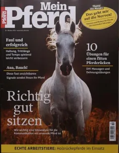 Mein Pferd (Duits)