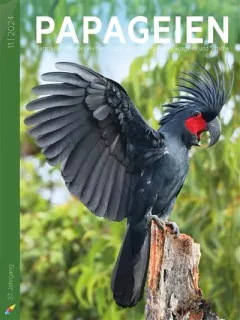 Papageien (Duits)