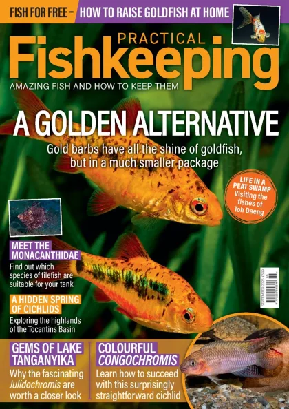 Practical Fishkeeping Magazine
