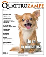 Quattro Zampe (Italiaans) 1