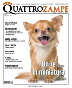 Quattro Zampe (Italiaans)