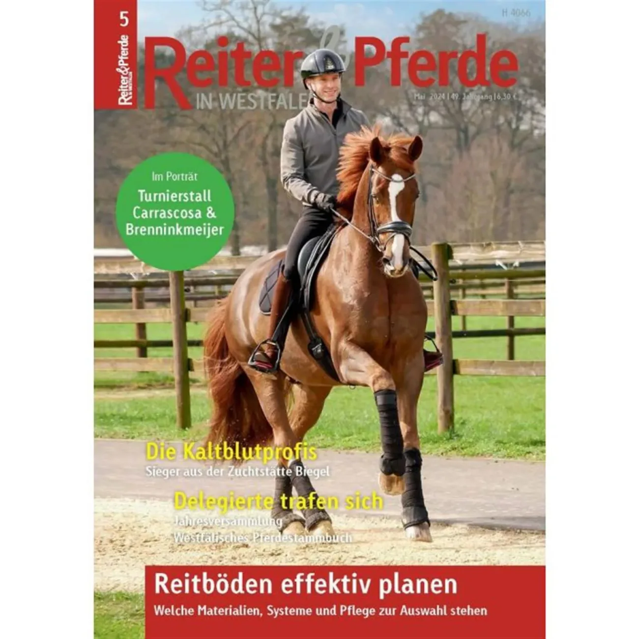 Reiter & Pferde in Westfalen (Duits)
