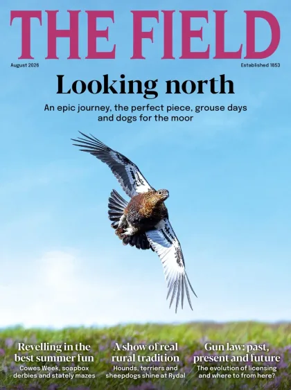 The Field Magazine
