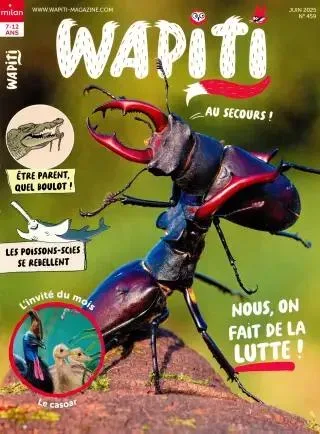 Wapiti (Frans)