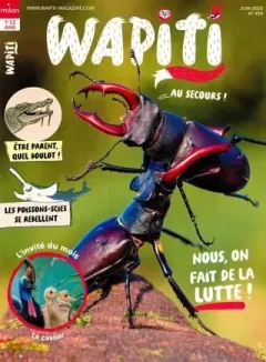 Wapiti (Frans)